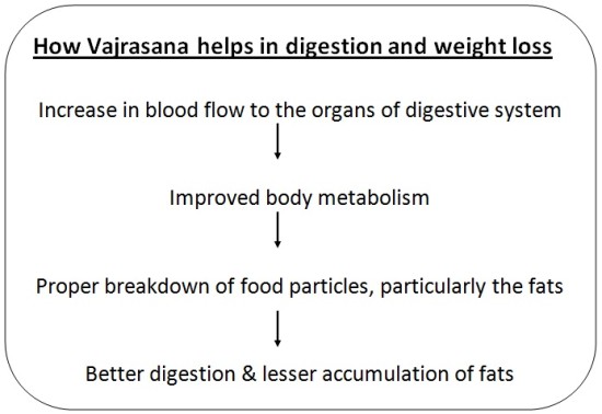 Vajrasana for Digestion and Weight loss