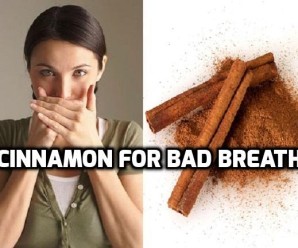  Cinnamon for Bad Breath: Herbs for Bad Breath