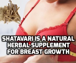  Shatavari for Breast Growth