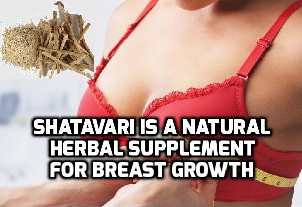 Does Shatavari increase breast size