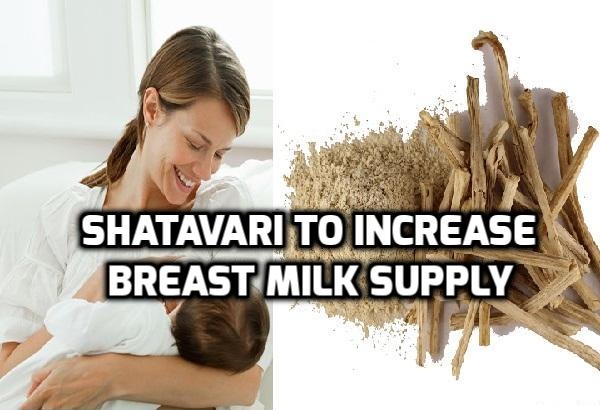Shatavari to increase Breast Milk Supply