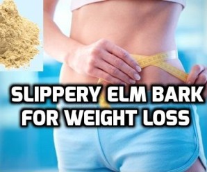 Slippery Elm for Weight Loss