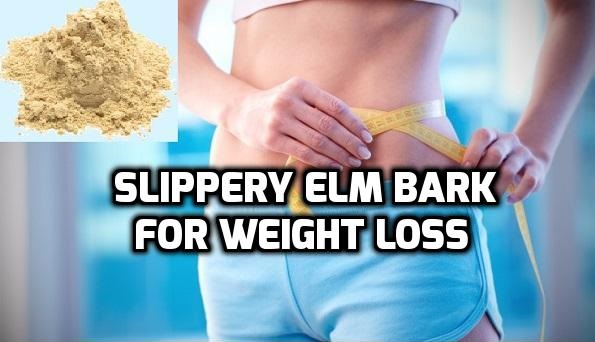 Slippery Elm for Weight Loss