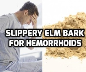  Slippery Elm for Hemorrhoids (Piles)