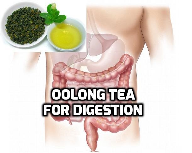 Oolong tea for Digestion
