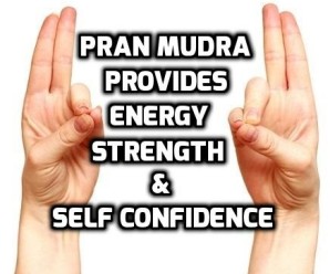  Prana Mudra Health Benefits: An Overview