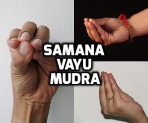  Samana Vayu Mudra- Procedure and Benefits